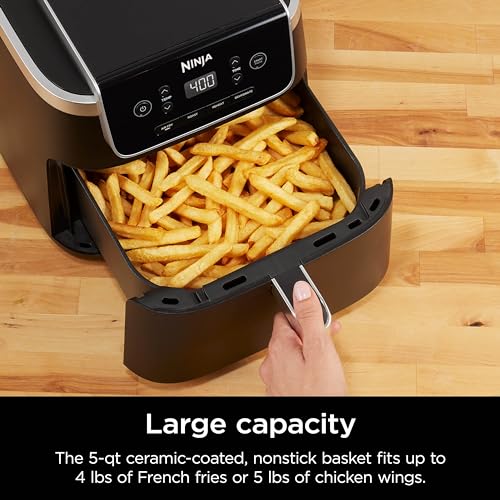 Air Fryer Pro 4-in-1 with 5 QT Capacity